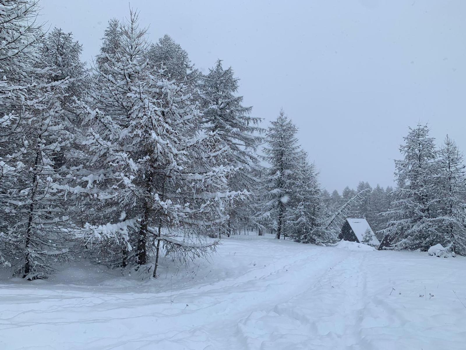 Chalet Bastilor Ла Жу дю Луп Екстериор снимка